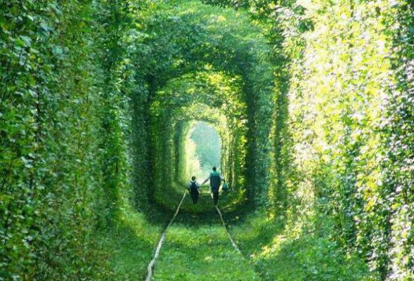 行至爱意消散处江言傅秦书雅宋修远完本+(江言傅秦书雅宋修远)一口气阅读行至爱意消散处江言傅秦书雅宋修远:结局+番外最新章节列表_笔趣阁(江言傅秦书雅宋修远)