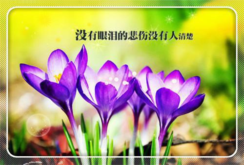 幼儿园幼儿中班第一学期评语