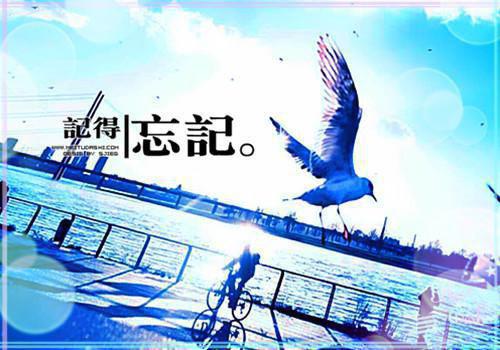 启迪人的励志文章