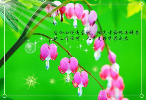 写森林舞会的童话故事两则