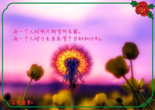 听雨寻梦(傅屿沈懿小说全文免费阅读)全文免费阅读无弹窗大结局_傅屿沈懿小说瑜免费阅读最新章节列表_（听雨寻梦）