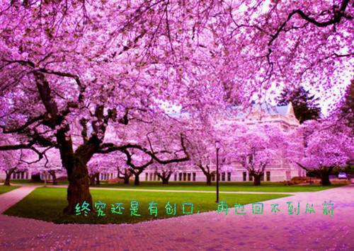 (番外)+(全文)重返人间后，小叔火葬场了：结局+番外+完结小说强烈推荐姜黎陆瑾臣重返人间后，小叔火葬场了：结局+番外+完结小说姜黎陆瑾臣重返人间后，小叔火葬场了：结局+番外+完结小说完整阅读
