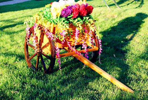 沈姜姜傅霁林宥傅霁完本在线小说免费阅读