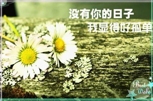未见青山老结局+番外（沈棠绾谢知野）全文免费阅读无弹窗大结局_（沈棠绾谢知野）未见青山老结局+番外免费阅读无弹窗最新章节列表_笔趣阁（未见青山老结局+番外）