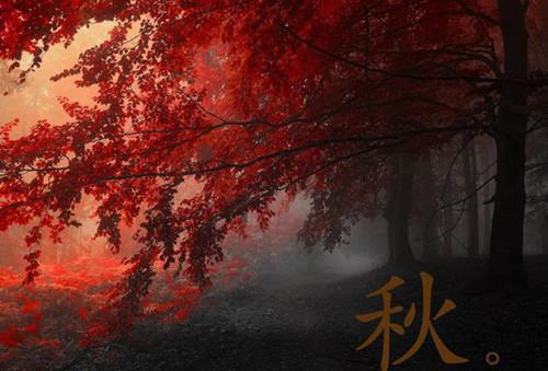 秋天的经典优美散文随笔
