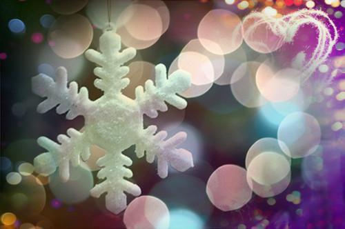 完结版小说陆时言许晨曦正版第4章阅读