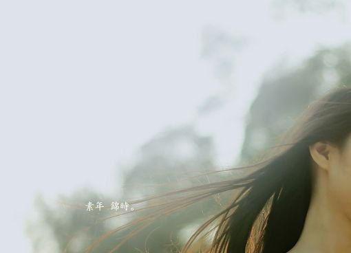 顾凉夕厉严辞顾凉夕完本在线小说免费阅读