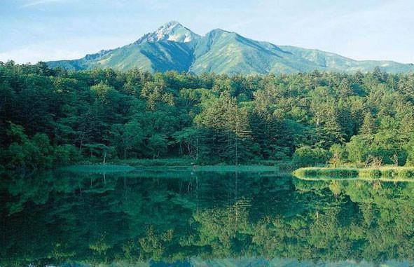 追忆似水流年