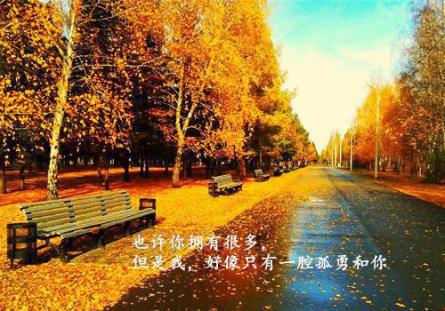 鼓励上高三孩子的话
