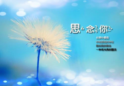 饥荒年，娘手中的刀也未尝不利沈茜小说全文免费阅读