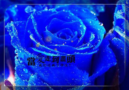餐厅开业祝福散文