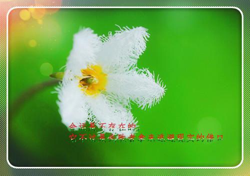 导师论文学术评语（精选4篇）