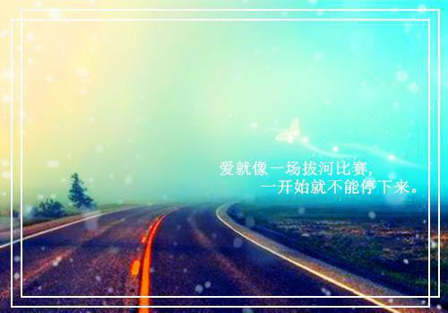 毕淑敏散文：关于人生的沉思