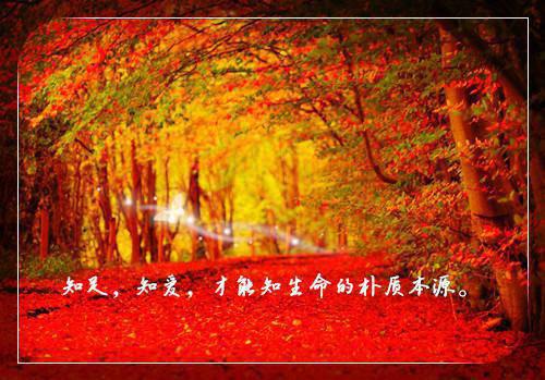 (番外)+(全文)行至爱意消散处江言傅秦书雅小说免费下载阅读_(江言傅秦书雅)行至爱意消散处：结局+番外+完结最新章节列表_笔趣阁（行至爱意消散处江言傅秦书雅）