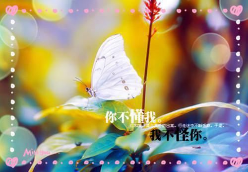 身如不系之舟：结局+番外（许远萧怡）全文免费阅读无弹窗大结局_（身如不系之舟：结局+番外免费阅读全文大结局）最新章节列表_笔趣阁（身如不系之舟：结局+番外）