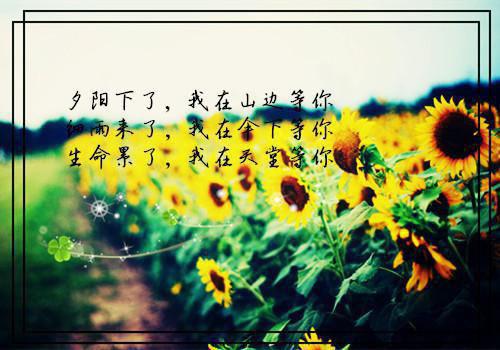 2023高考励志满分作文
