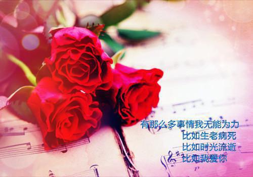 满川风月替人愁在野战神全文+后续(苏在野珠落)全文免费阅读无弹窗大结局_(满川风月替人愁在野战神全文+后续免费阅读全文大结局)最新章节列表_笔趣阁(苏在野珠落)