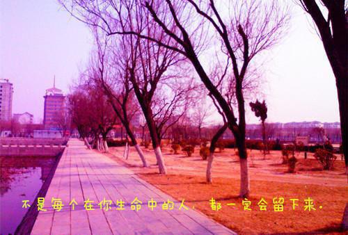 张梦瑶陶菲菲（孙女被霸凌后，我拿着一等功勋章跪在了军区：结局+番外）全文免费阅读无弹窗大结局_(张梦瑶陶菲菲)最新章节列表_笔趣阁（孙女被霸凌后，我拿着一等功勋章跪在了军区：结局+番外）