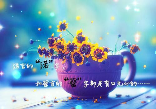 霍总，太太又去民政局排队了后续结局霍北凛小说全文免费阅读