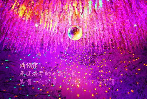 六年级最新学生家长评语大全2025（精选3篇）
