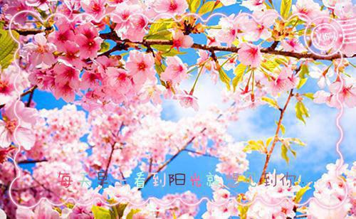 2025学年鉴定导师评语大全研究生导师评语大全（精选3篇）