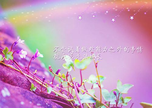 关于受伤的句子