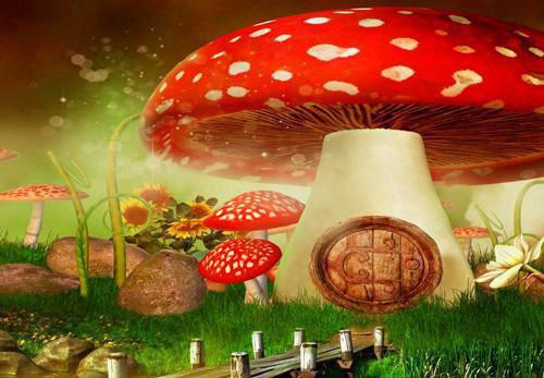 小学差生评语集锦