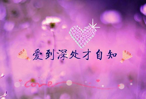 最新小学生期末评语(通用10篇)