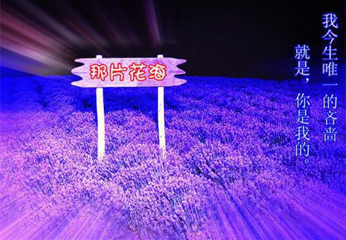 幼儿园学期末中班评语