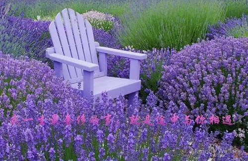 关于差生逆袭的高考励志文章