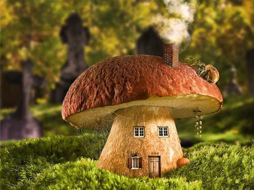 小说谢知景方司珈主角为方司珈免费阅读