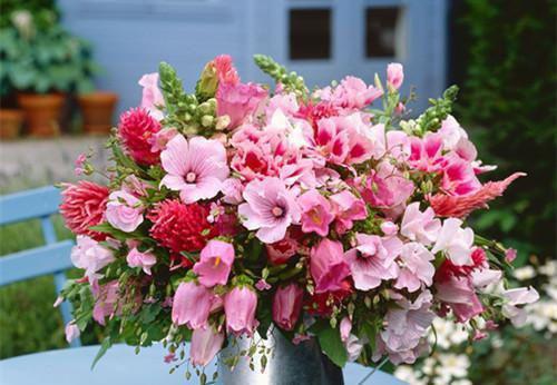 分手后，地下恋曝光了：大结局+后续小说宋鹤时宁岁小说分手后，地下恋曝光了：大结局+后续小说宋鹤时宁岁-分手后，地下恋曝光了：大结局+后续小说小说在哪里可以看宋鹤时宁岁