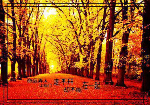 中国古代神兽的传说