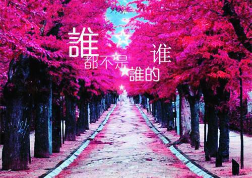 (番外)+(全文)吹牛是首富，一觉醒来成真了：全文+后续(江南孟清秋)全文免费阅读无弹窗大结局_(吹牛是首富，一觉醒来成真了：全文+后续免费阅读全文大结局)最新章节列表_笔趣阁(吹牛是首富，一觉醒来成真了：全文+后续)