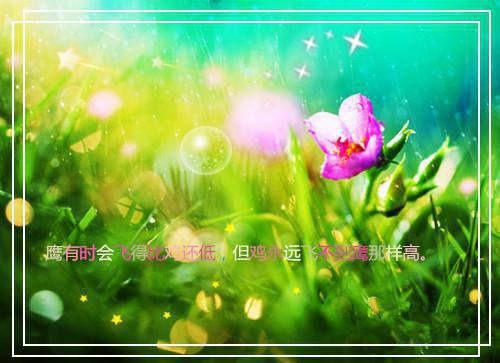 爱国诗歌朗诵