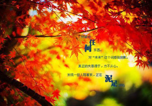 苏砚姜颜（心的第七次颤动：结局+番外)全文免费阅读无弹窗大结局_心的第七次颤动：结局+番外全文免费阅读_笔趣阁（苏砚姜颜）