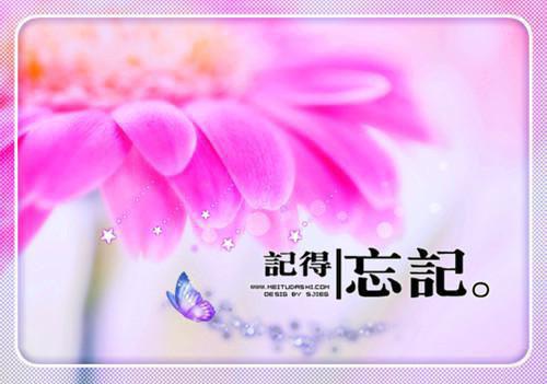 沈稚芸周野（重生九零俏厂长二嫁少校军医：全文+后续+番外）全文免费阅读无弹窗大结局_(沈稚芸周野)沈稚芸周野最新章节列表_笔趣阁（重生九零俏厂长二嫁少校军医：全文+后续+番外）