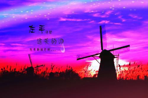 曲欣欣的小说容辰烈曲欣欣在线那人,容辰烈,曲欣欣全文阅读