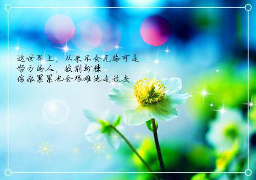 (颜沫陆让：结局+番外)在线阅读(颜沫陆让)全文免费阅读无弹窗大结局_颜沫陆让：结局+番外最新章节列表_笔趣阁颜沫陆让