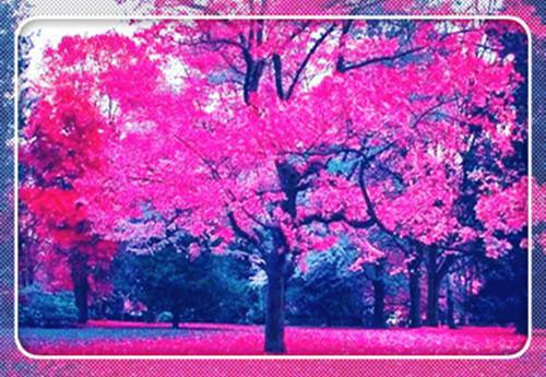 云皎的小说_吾偏知春来名云皎小说阅读