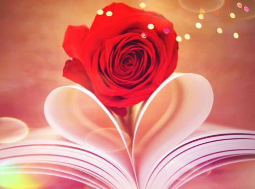 洞房夜捉奸，当场改嫁阴霾世子姚夫人,姚家,纪云舒小说_洞房夜捉奸，当场改嫁阴霾世子完结版阅读