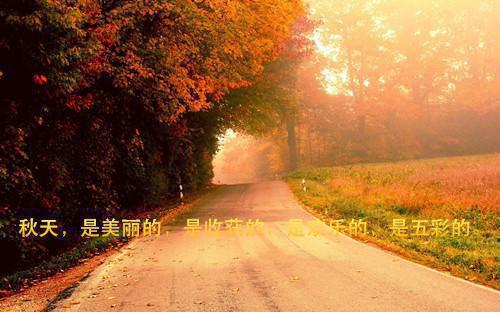 爱意凋亡:全章+番外(江晚月陆牧尘周书辰)全文免费阅读无弹窗大结局_爱意凋亡结局+番外最新章节列表_笔趣阁(爱意凋亡结局+番外)