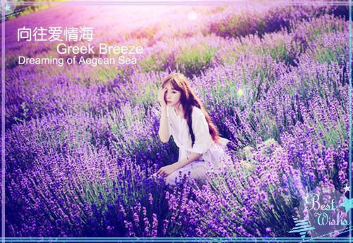 秦晋的小说无敌质子，归国惨遭万人嫌秦乾秦晋全文阅读