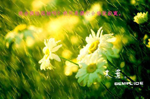 不自满的名言警句