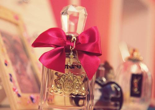 枯木折枝再逢春：结局+番外季知节沈廷深的小说叫什么-最新小说枯木折枝再逢春：结局+番外小说全文阅读