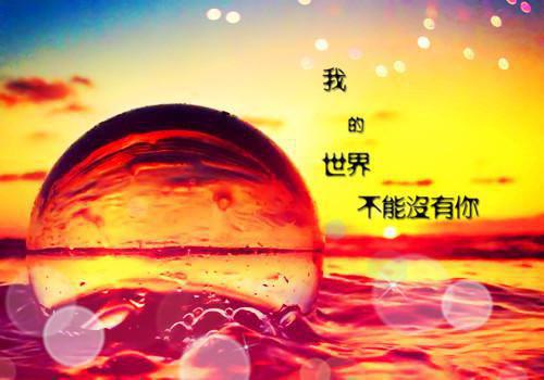 9年级学生评语（精选16篇）
