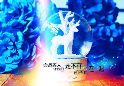 伤感的爱情唯美诗句
