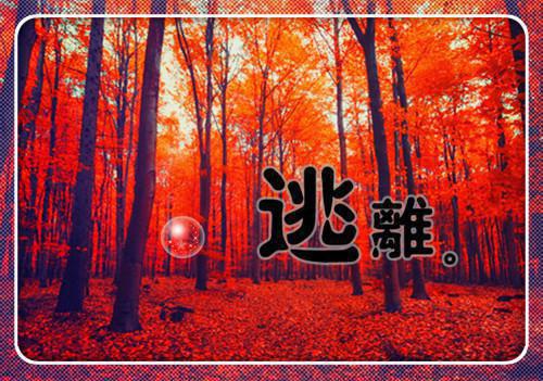 风雪无尽相思情，沈晚霜周时笙,周父,顾澈小说_风雪无尽相思情，沈晚霜免费阅读