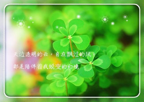 励志电影想飞的钢琴少年