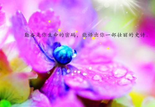 朝暮与共至春晚：结局+番外（顾知惟苏雨眠）全文免费阅读无弹窗大结局_（顾知惟苏雨眠免费阅读）顾知惟苏雨眠免费阅读无弹窗最新章节列表_笔趣阁（顾知惟苏雨眠）